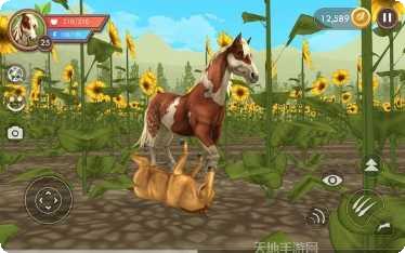 Will Glow The最新版本