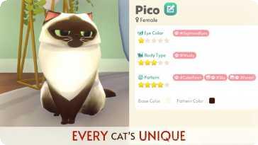 我的猫咪日记下载