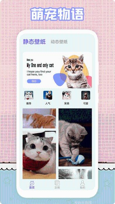 我的猫咪日记攻略