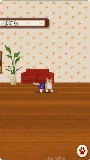 家有小店模拟经营