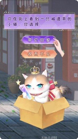 我的灵宠是只猫宠物养成