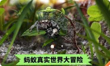 蚂蚁文托游戏攻略