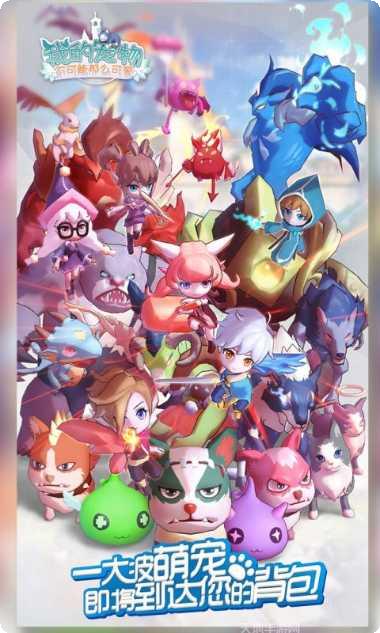 我的宠物6最新版本