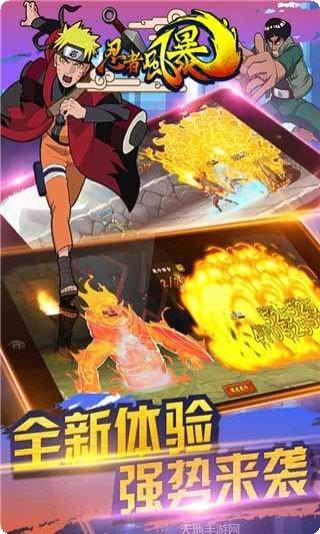 忍者风暴技能搭配