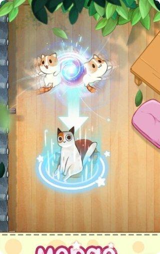 猫咪合成大师最新版本