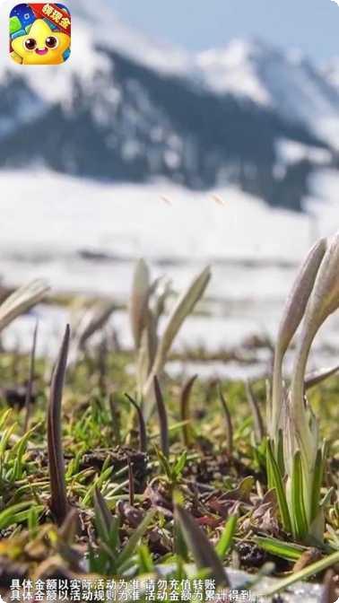 爆破消星星好玩吗