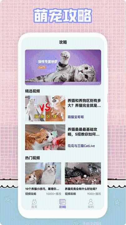 我的猫咪日记玩法