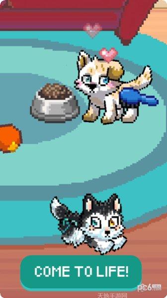 像素宠物之精灵进化下载