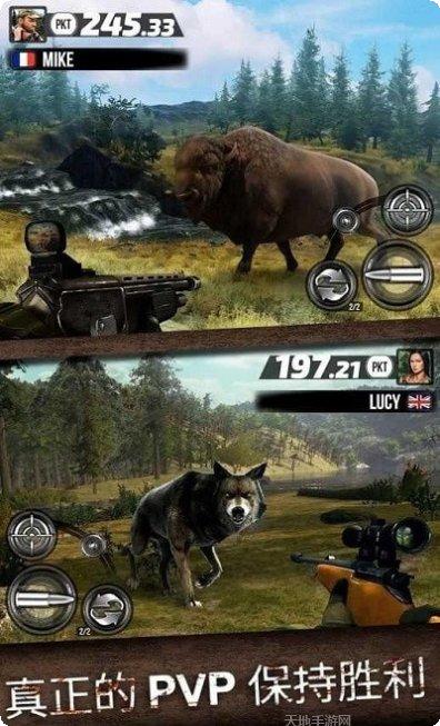 野外狩猎生存建造庇护所