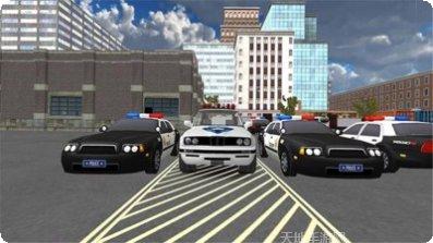 警察驾驶大师ios版