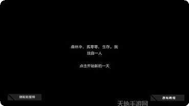 独自一人在夜间中文版评测