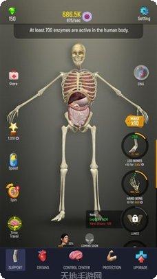 放置人体模型玩法介绍