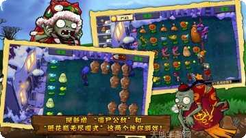 植物大乱斗角色介绍