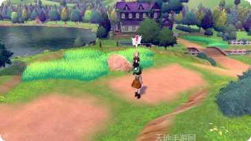 口袋妖怪迷失夜6最新版本