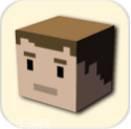 像素先生传火炬