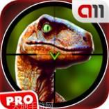 迷失在光明之殿