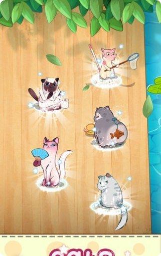 猫咪合成大师攻略
