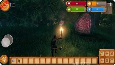 维京生活狂野的北方攻略