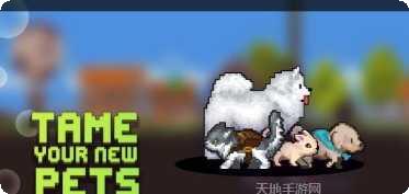 Minion Forest角色收集