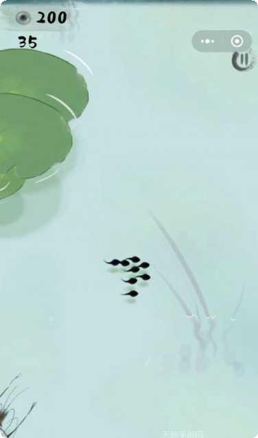 龙虾大战蝌蚪4玩法介绍