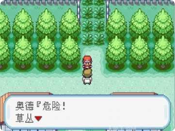 口袋妖怪迷失夜6游戏玩法