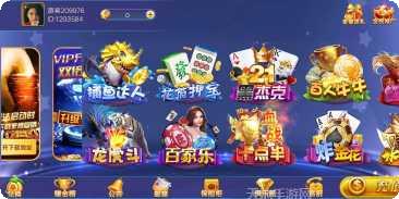 乐晟棋牌安卓版