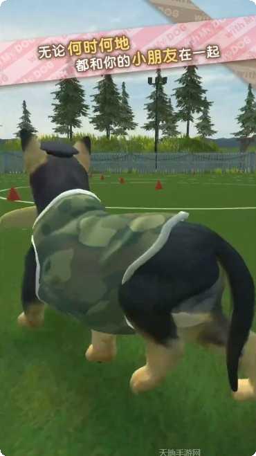 我的梦幻婚礼游戏下载