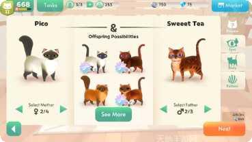 我的猫咪日记游戏心得