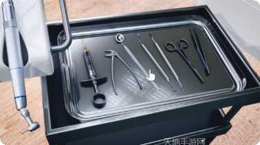 My Child Lebensborn中文版剧情