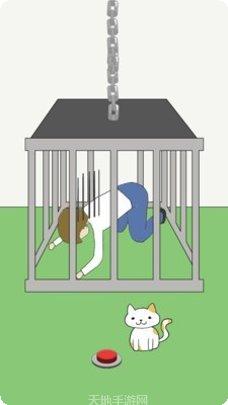 我的猫咪日记更新