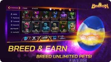 binballs技巧分享