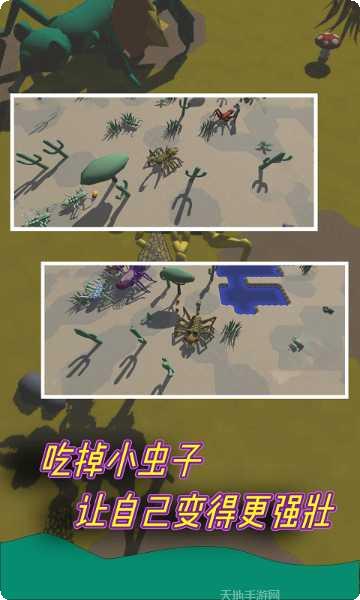 昆虫进化大乱斗下载