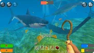 Survival Challenge 3D下载地址