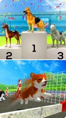 我的萌猫萌宠物语下载