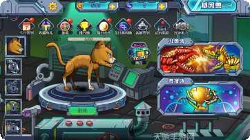 变异基因兽角色搭配