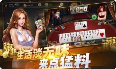 大亨互娱三公下载