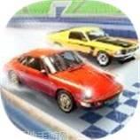 汽车冬季运动赛