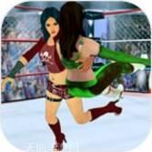 超级明星曲棍球