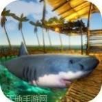 Survival Challenge 3D